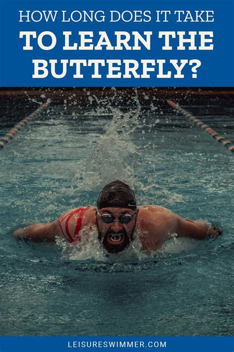 Learning Butterfly Tricks 的图像结果