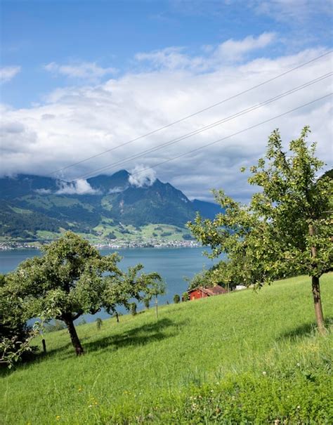 Switzerland 的图像结果