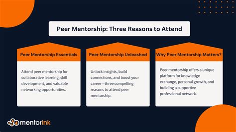 What is a Peer Mentoring Program?