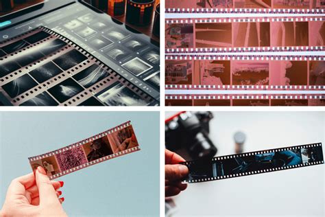 Digital Negative Tutorial 的图像结果