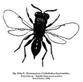 Image result for Digital Matrix Code