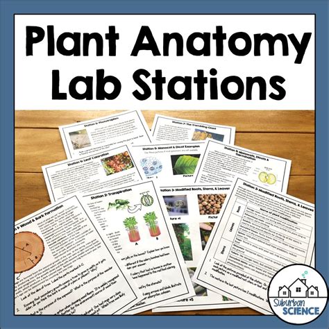 Image result for Plant Science Class U of S Lab Help