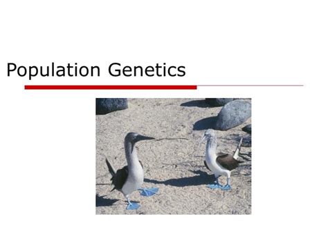 Image result for Population Genetics Basics