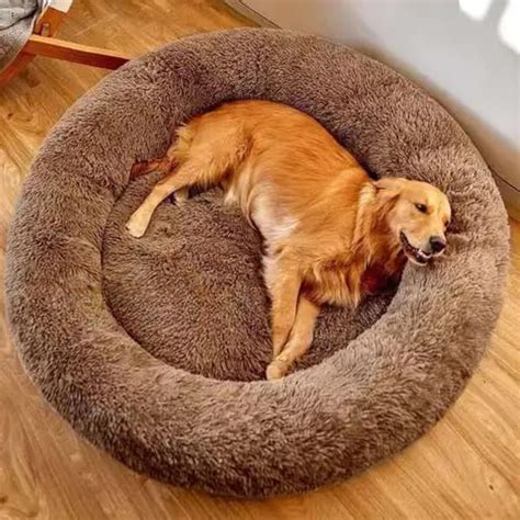 ZEXSAZONE Round Donut Pet Bed for Cats and Puppies Dogs mat, Cozy and ...