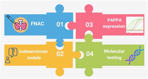 PAPPA Expression in Indeterminate Thyroid Nodules as Screening Test to ...