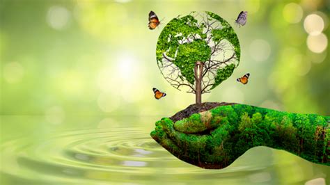 7 Fun & Educational Environment Day Activities for Kids in 2025 ...