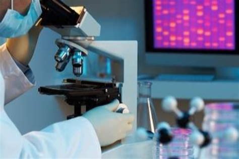 CRISPR Kit for Humans 的图像结果