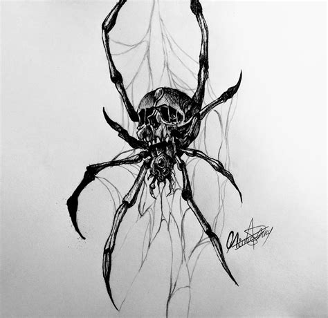 Spider Drawings