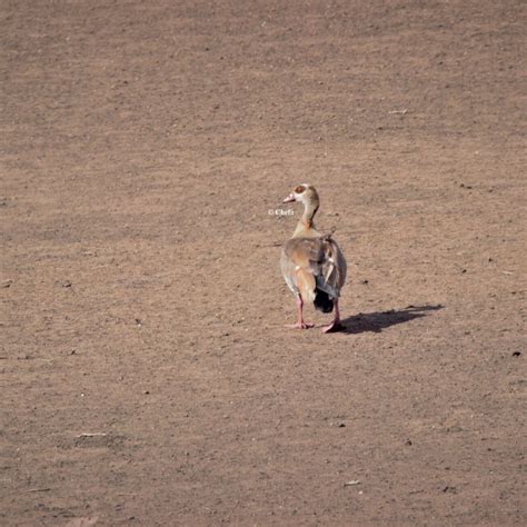 Letseng-la-Letsie (Quthing District) - 2022 What to Know Before You Go ...