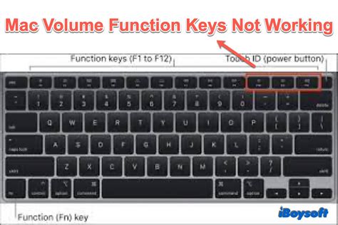 Volume Key Function Change 的图像结果