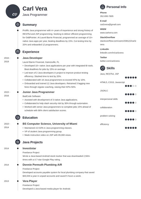 Programmer Resume 的图像结果