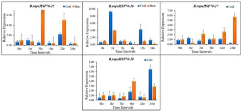 HSP70 Gene Family in Brassica rapa: Genome-Wide Identification ...