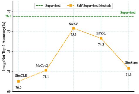 DBS-NET: A Dual-Branch Network Integrating Supervised and Contrastive ...