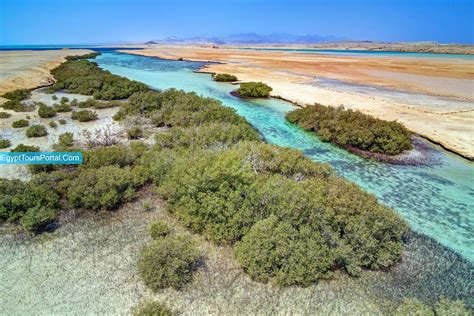 Ras Mohammed National Park