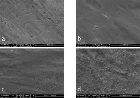 Effects of Electric Potential Treatment of a Chromium Hexacyanoferrate ...