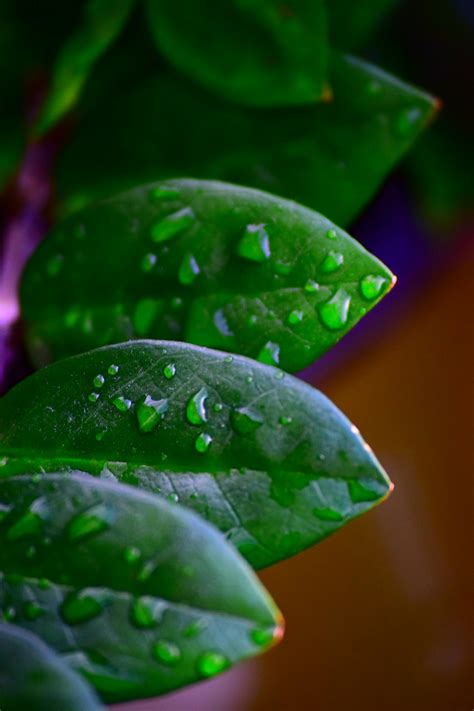 Money Wallpaper 4K 的图像结果