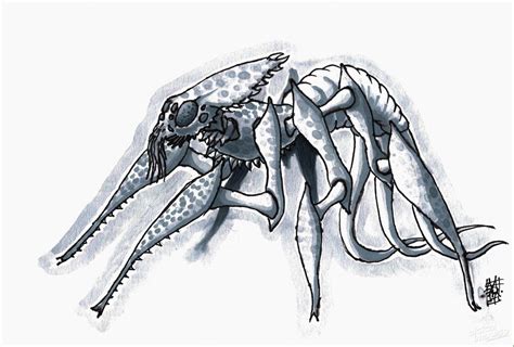 Image result for Alien Bug Concepts