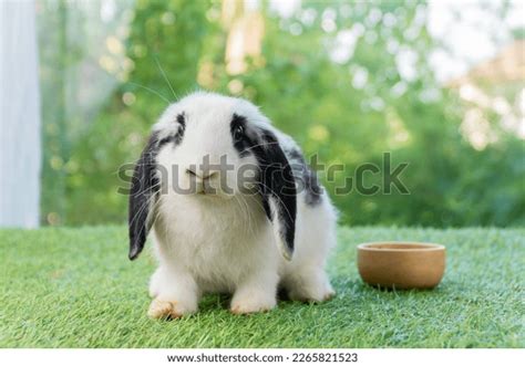 Image result for Ancient Techn
