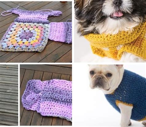 Image result for Dog Sweater Crochet Tutorial