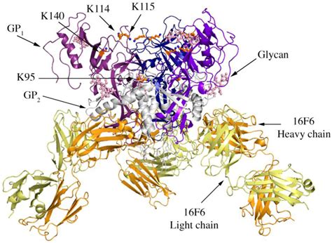 Viruses | April 2012 - Browse Articles
