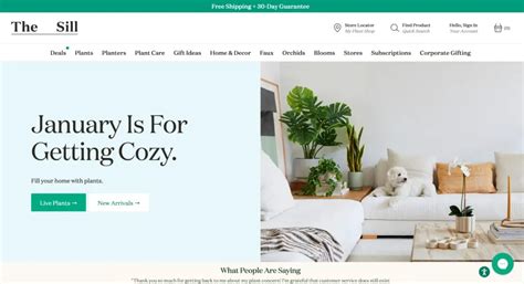 Image result for Simple Website UI Design Examples