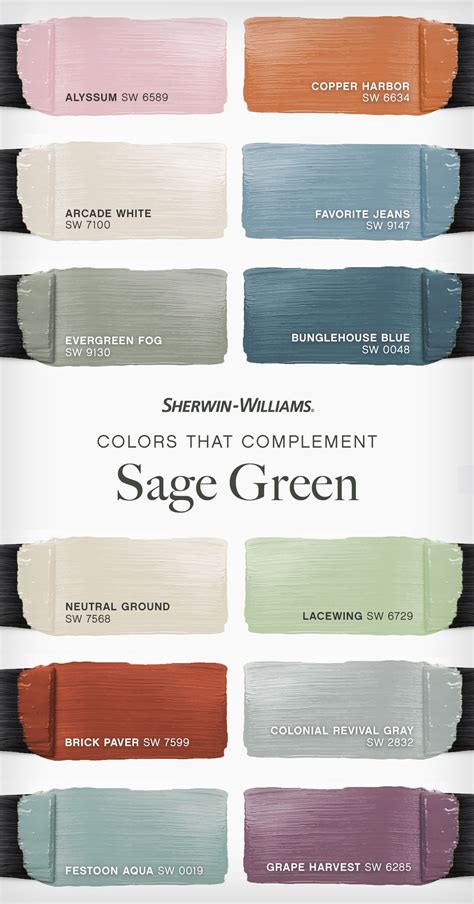 Image result for Sage Green Complementary Colors