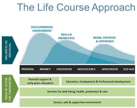 Who Life Course Approach 的图像结果