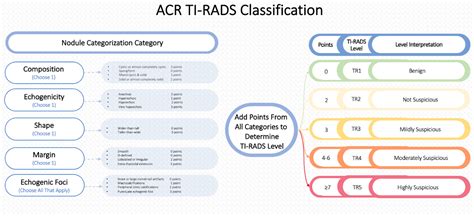 Quality Improvement Methodology to Improve Standardized Reporting of Pediatric Thyroid ...