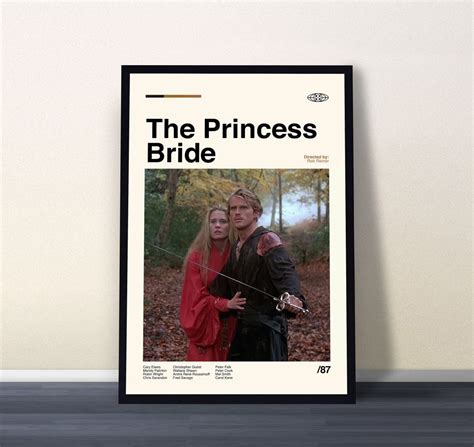 Image result for Princess Bride Poster Art