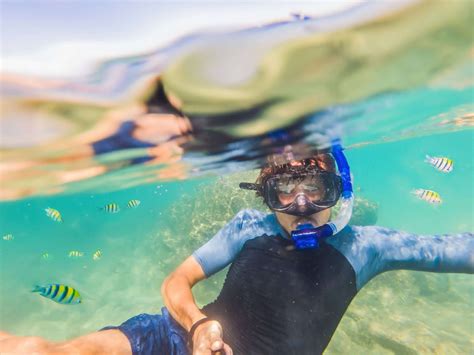 Snorkeling Tours on South Padre Island | La Isla Vacation Rentals
