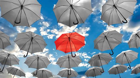 Image result for Science Org