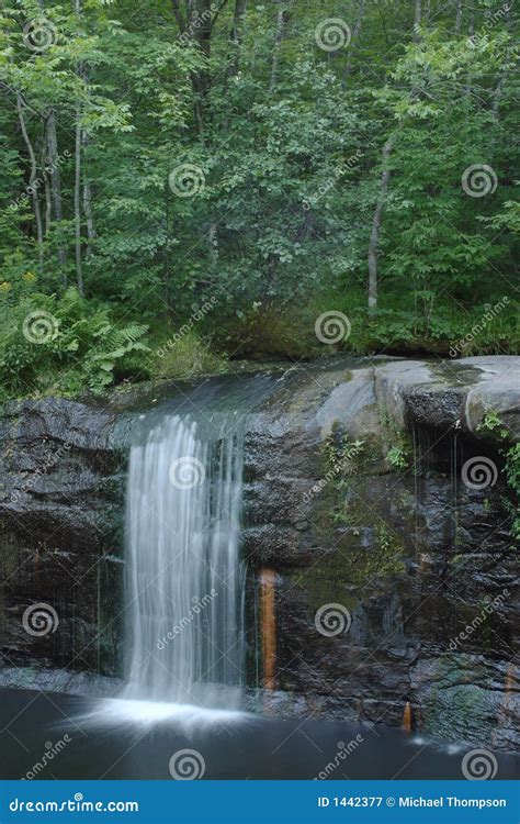Wolf Creek Falls stock image. Image of state, wolf, water - 1442377