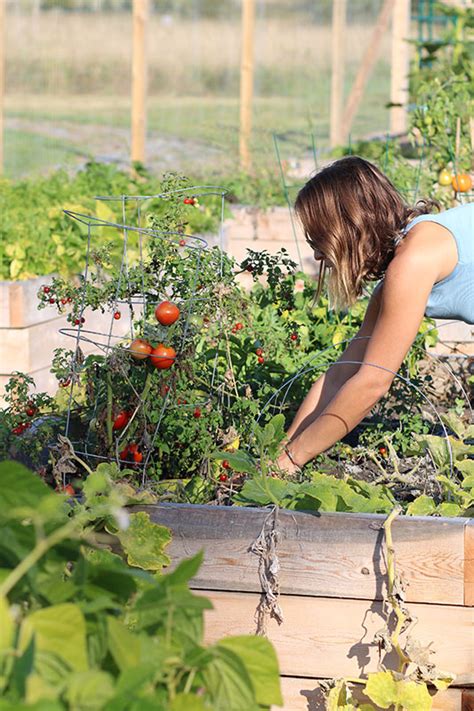 Local Sustainable 的图像结果