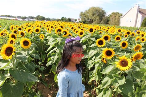 カボチャを求めてF&W Schmitt Family Farmへ - ニューヨーク郊外から