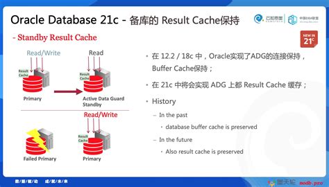 Features of Oracle Database 21C 的图像结果