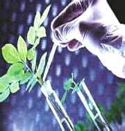 Department of Biotechnology – GKToday