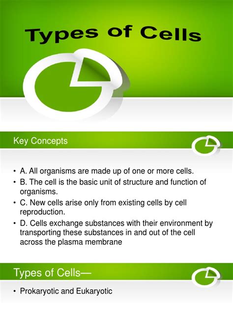 Cell Types & Cell Modification | PDF | Eukaryotes | Cell (Biology)