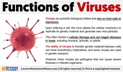 Image result for How Do Viruses Work