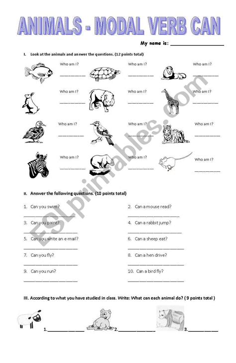 Can Model Verb Worksheet 的图像结果