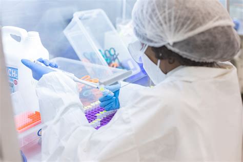 Forensic DNA 的图像结果