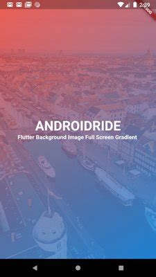 Flutter Create in PDF Flutter in Image Background 的图像结果
