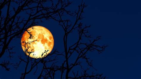 Luna llena de marzo 2025 coincidirá con eclipse lunar total y con una ...