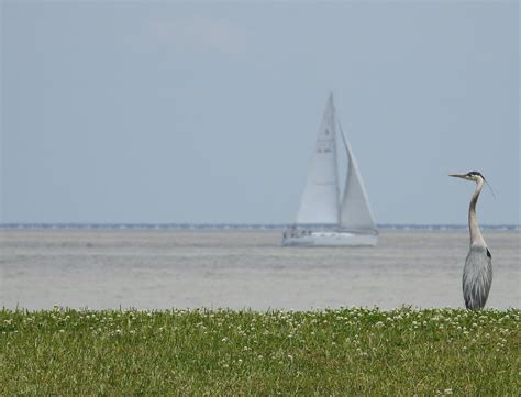 Join Us — Jefferson Parish Employees FCU