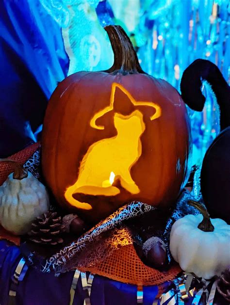 Cat witch hat pumpkin carving pumpkin carving alice in wonderland cat ...