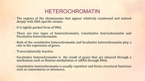 Heterochromatin and euchromatin mains | PPTX