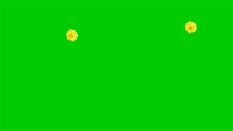 Image result for Falling Flower Animation