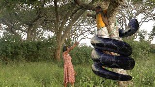 Image result for Python Queens Episode 1 Zim Comedy