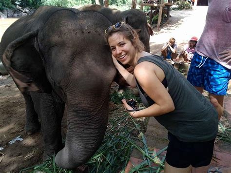 THE CHIANGMAI T.U.M TRAVEL - ELEPHANT TREKKING CARE (2026) All You Need ...