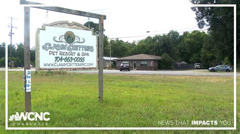 Animal cruelty charges filed against pet grooming business employee ...