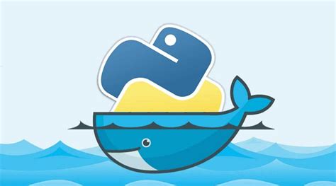 Docker Container Python 的图像结果